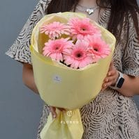 5 гербер в упаковке