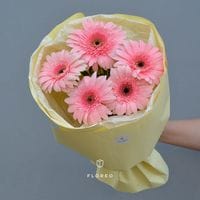 5 гербер в упаковке