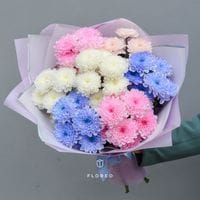 7 кустовых хризантем