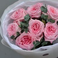 7 пионовидных роз Пинк Охара с эвкалиптом #564