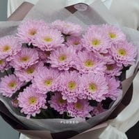 5 сиреневых кустовых хризантем #573