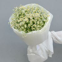 Нежные ромашки/ 587