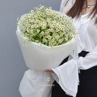 Нежные ромашки/ 587