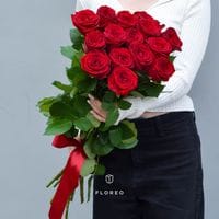 15 красных роз (70 см)