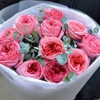 11 пионовидных роз с эвкалиптом #869