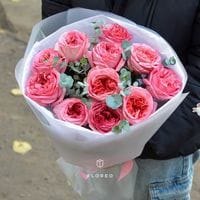 11 пионовидных роз с эвкалиптом #869