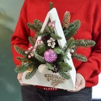 Композиция Ёлочка 951