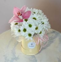 Композиция 964