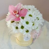 Композиция 964