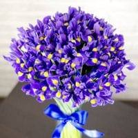 45 ирисов 1054