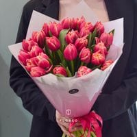 25 пионовидных тюльпанов Колумбус #1072