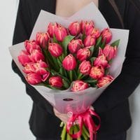 25 пионовидных тюльпанов Колумбус #1072