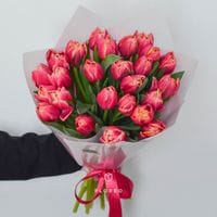 25 пионовидных тюльпанов Колумбус #1072