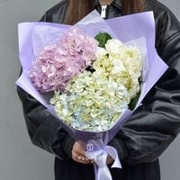 3 гортензии в упаковке #1081