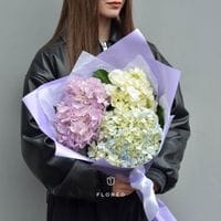 3 гортензии в упаковке #1081