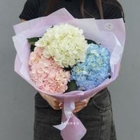 3 гортензии в упаковке #1081