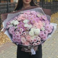 25 кустовых хризантем #1330