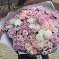 25 кустовых хризантем #1330