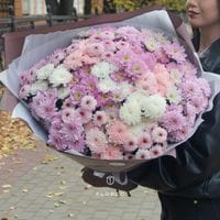 25 кустовых хризантем #1330
