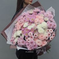 25 кустовых хризантем #1330