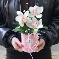 Коробочка с орхидеями #1325