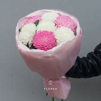 7 одноголовых хризантем #1322