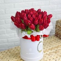 51 красный тюльпан в коробке #1035