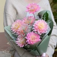 7 георгинов в упаковке