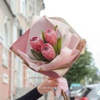 3 протеи в упаковке 695