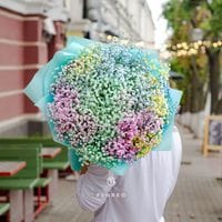 21 ветка радужной гипсофилы/ 818