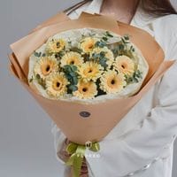 9 кремовых гербер с эвкалиптом #986