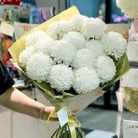 15 белых одноголовых хризантем/786
