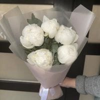 5 белых пионов с эвкалиптом #1186