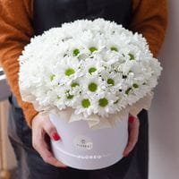 Ромашковая хризантема в шляпной коробке размер M