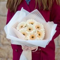 11 персиковых мини-гербер в упаковке/ 105