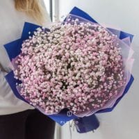 Букет из розовой гипсофилы размер M