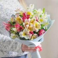 9 альстромерий микс в упаковке