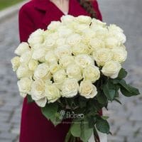51 белая роза
