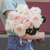 9 пионовидных роз White O'Hara