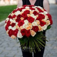 101 роза микс