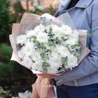 5 белых кустовых хризантем с эвкалиптом