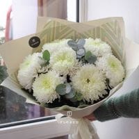 7 одноголовых хризантем с эвкалиптом