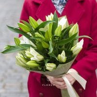 5 белых лилий в упаковке