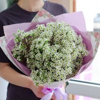 Монобукет из веток хамулациума