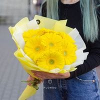 7 желтых гербер в упаковке 333