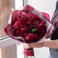 7 бордовых пионов в упаковке