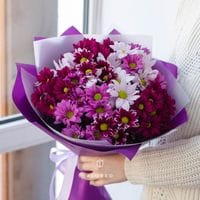9 фиолетовых кустовых хризантем в упаковке