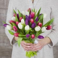 33 тюльпана #1025