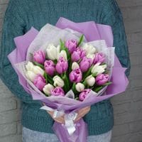 25 тюльпанов в упаковке #1008