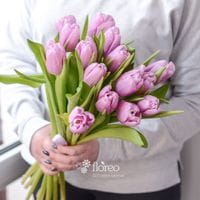 15 нежных тюльпанов #1031